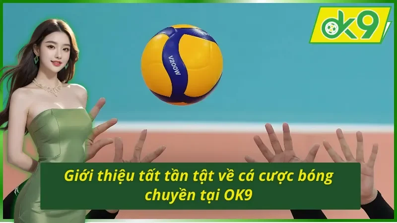 Cá Cược Bóng Chuyền OK9 - Hình Thức Giải Trí Hot Nhất 2025 2 Giới thiệu tất tần tật về cá cược bóng chuyền OK9