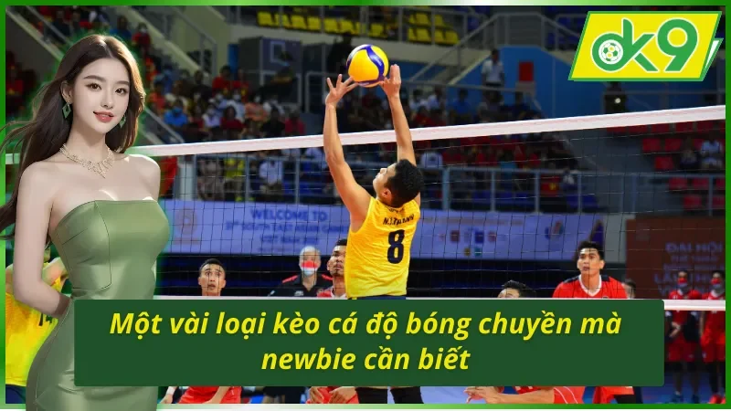 Cá Cược Bóng Chuyền OK9 - Hình Thức Giải Trí Hot Nhất 2025 3 Một vài loại kèo cá cược bóng chuyền OK9 hot nhất 2025