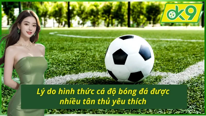 Cá Cược Bóng Đá OK9 - Hình Thức Giải Trí Vạn Người Mê 3 Lý do hình thức cá cược bóng đá OK9 siêu hot