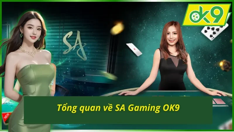 SA Gaming OK9 - Điểm Đến Uy Tín Nhất Hiện Nay Dành Cho Các Cược Thủ 2 Những thông tin tổng quan về sảnh SA Gaming OK9