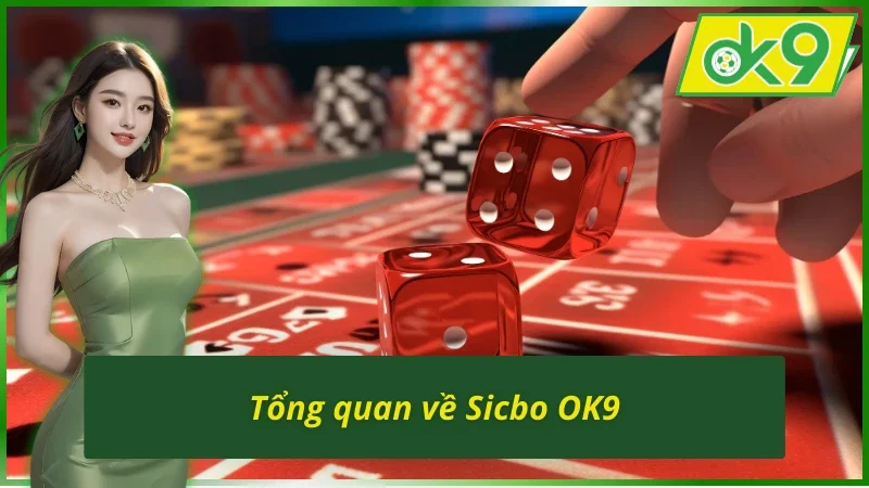 Tuyệt Kỹ Chơi Sicbo OK9 - Cơ Hội Thành Tỷ Phú Ngay Trước Mắt 2 Hiểu rõ về bàn cược Sicbo OK9